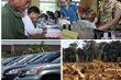 Chỉ đạo, điều hành của Chính phủ, Thủ tướng Chính phủ nổi bật tuần từ 13-17/3/2017
